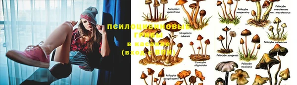 кокс Алексеевка